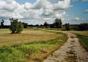 https://de.wikipedia.org/wiki/Altmark#/media/Datei:Garbe.jpg